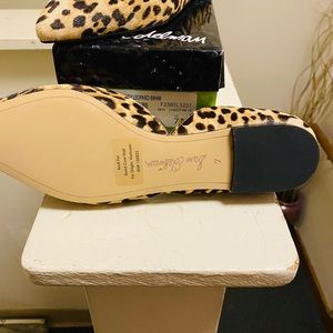 Brand New Sam Elderman leopard (Rodney) flats.